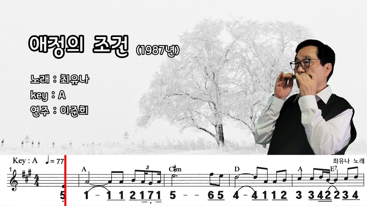 애정의 조건 (A) / 최유나 노래  하모니카 연주