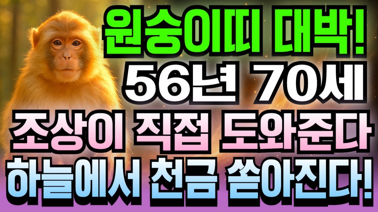 병신년생 1956년생 2026년 1월 원숭이띠 70세 운세 돈줄 터진다! 천금 굴러오고 횡재 겹치는 한 달, 원숭이띠 부의 흐름 폭주하는 대박 신호 여기 다 있습니다.