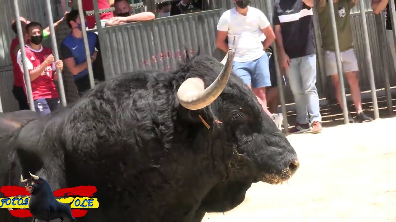 Meliana Especial Sergio Centelles 2021