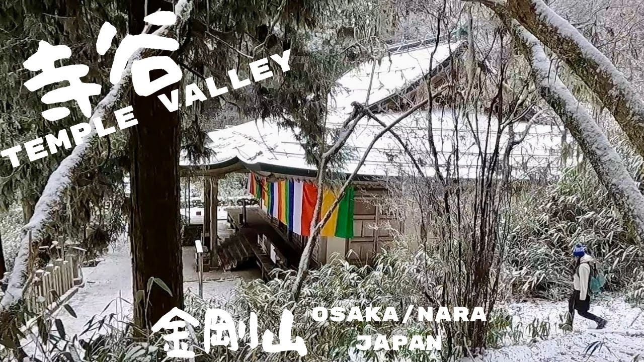SEARCH FOR SNOW☃️👀. 雪でも安心の寺谷ルートと銀世界の樹氷❄️