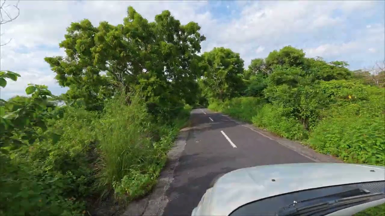 West-Bali Nationalpark schwarze Affen