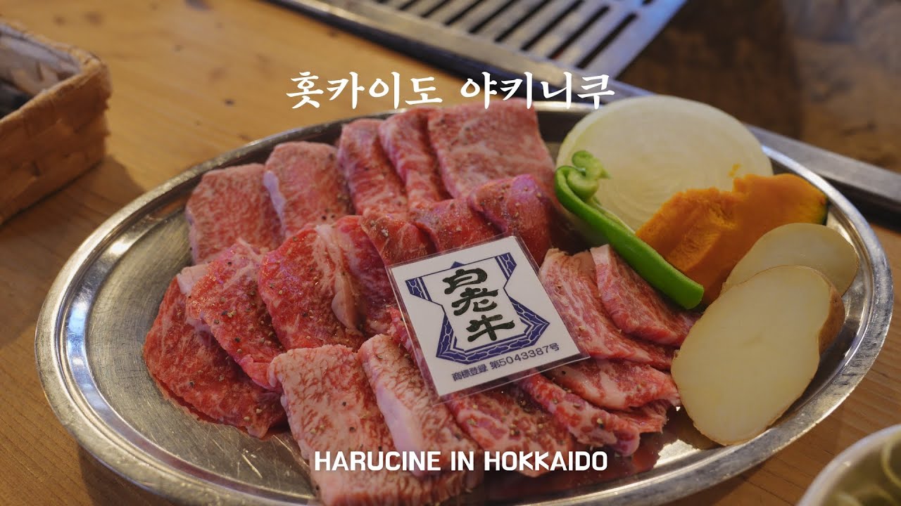 하루씨네 VLOG | 홋카이도 와규 맛집에 다녀 온 하루씨네🐂