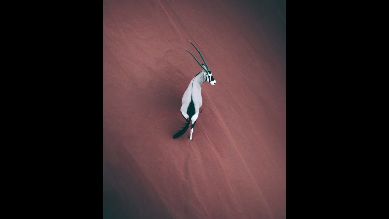 (free) aphex twin + yeat + don toliver type beat - 