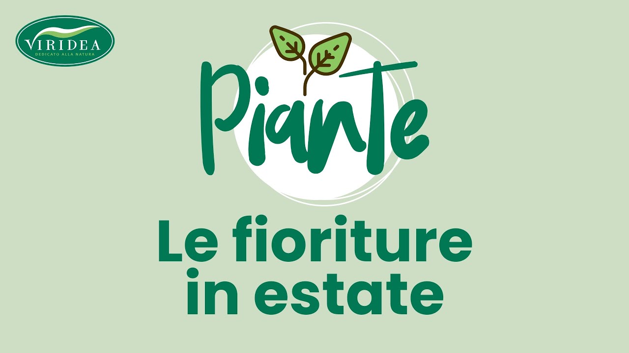 LE FIORITURE ESTIVE