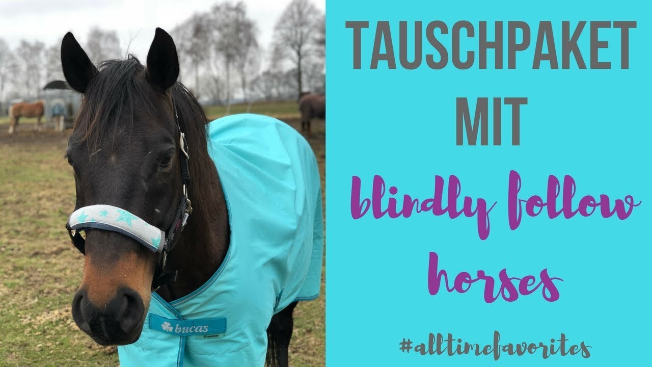 XXL Tauschpaket mit blindly follow horses #alltimefavorites I Cowgirlupblog