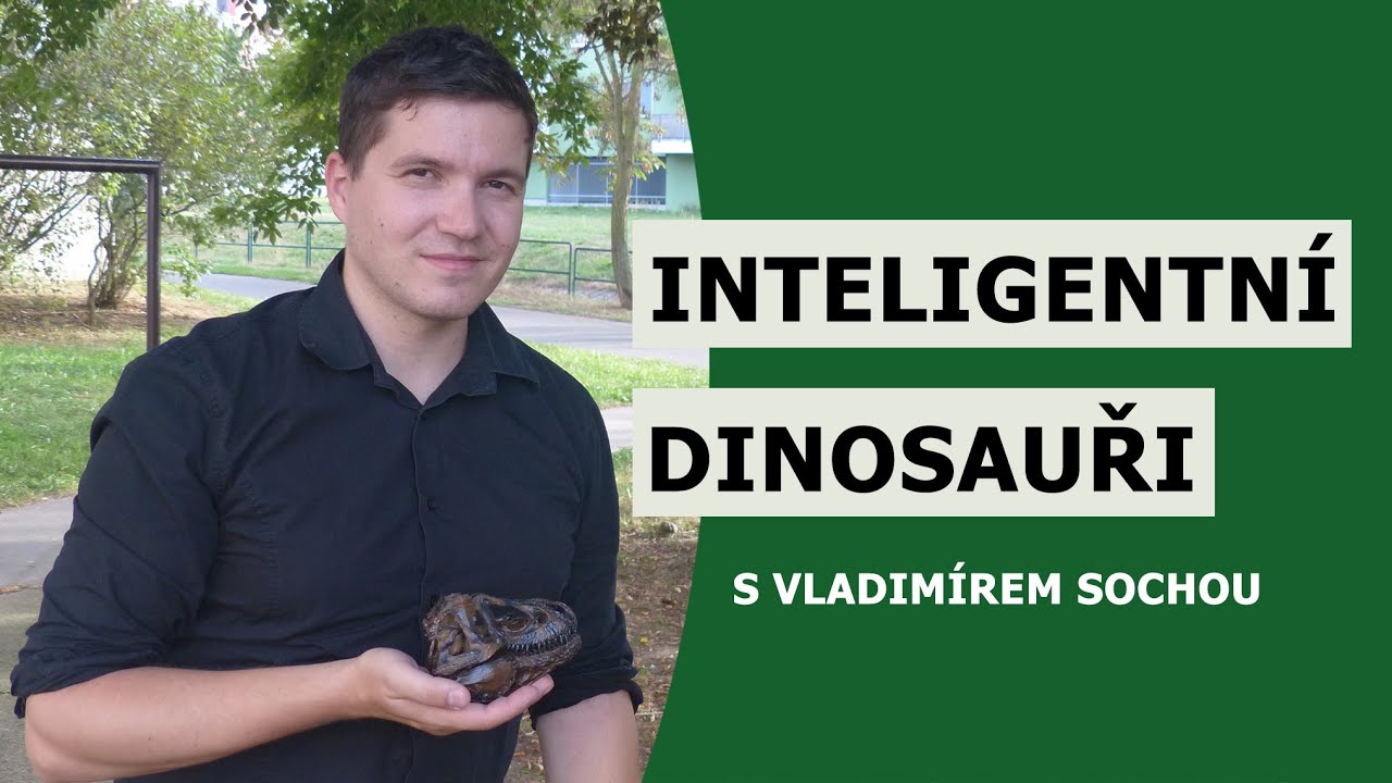 Inteligentní dinosauři – Vladimír Socha