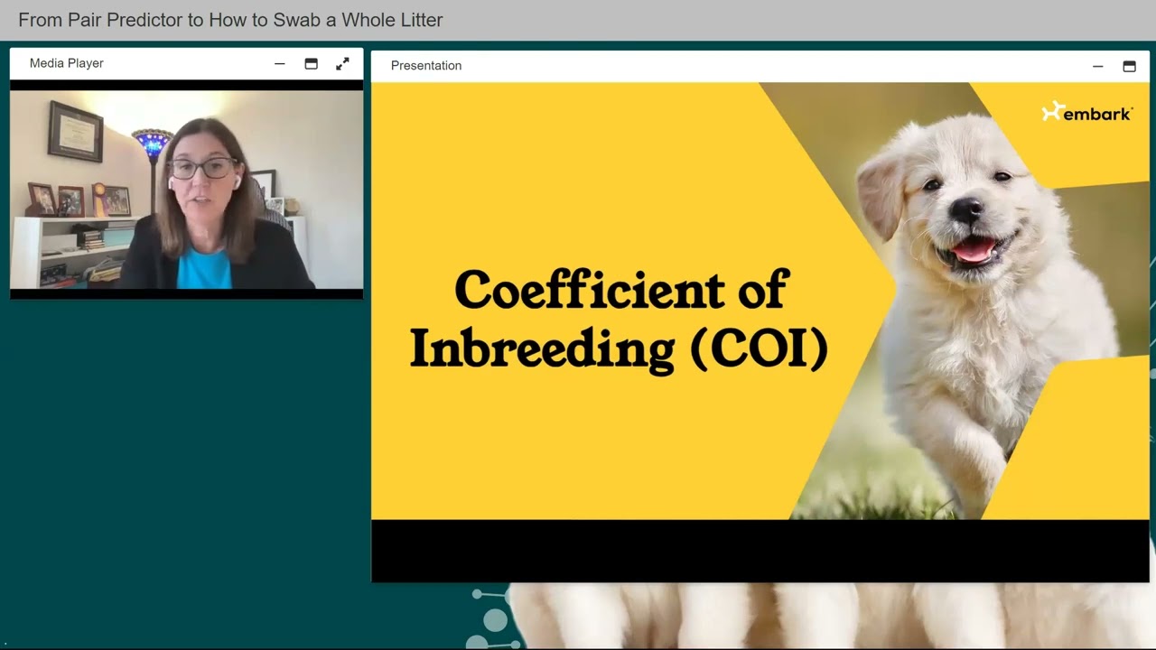 Using Pair Predictor Tool & DNA Testing Litters - Canine Health Summit 2024 - Embark for Breeders