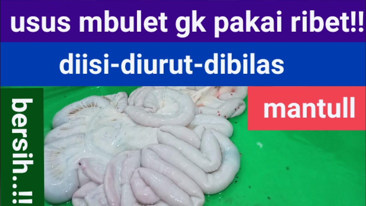 @Cara membersihkan usus sapi