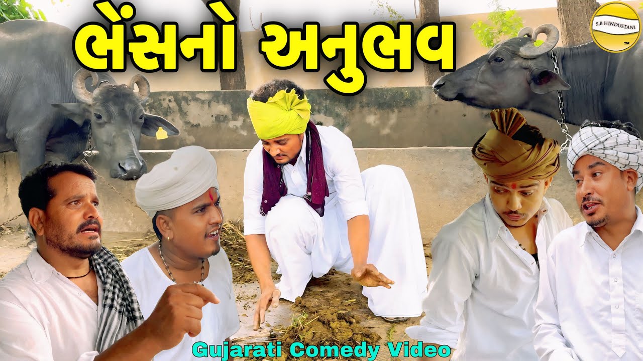 ભેંસનો અનુભવ//Gujarati Comedy Video//કોમેડી વિડીયો SB HINDUSTANI