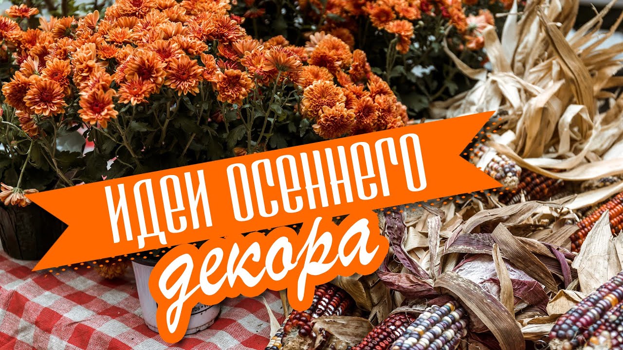🍁 DIY Осенний декор своими руками/ Декоративный фонарь/ Лошадь с тыквами в телеге/ Эко-подсвечник