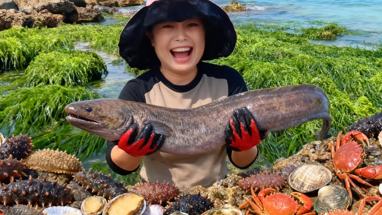 Xiao Zhang Discovered Valuable Goods: A Bucket Full Of Conger Eels And Sea Cucumbers.