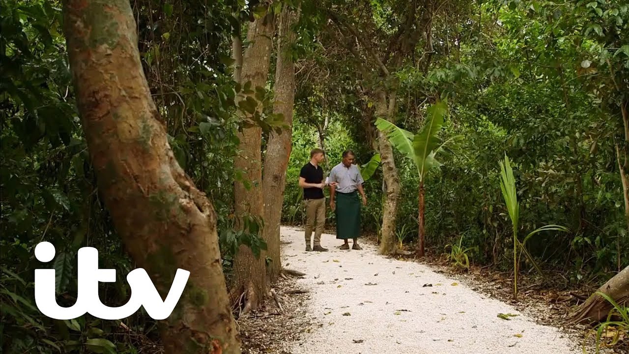 Harry & Meghan: The First Tour | Dedicating the Toloa Rainforest Reserve to the Queen's Canopy | ITV