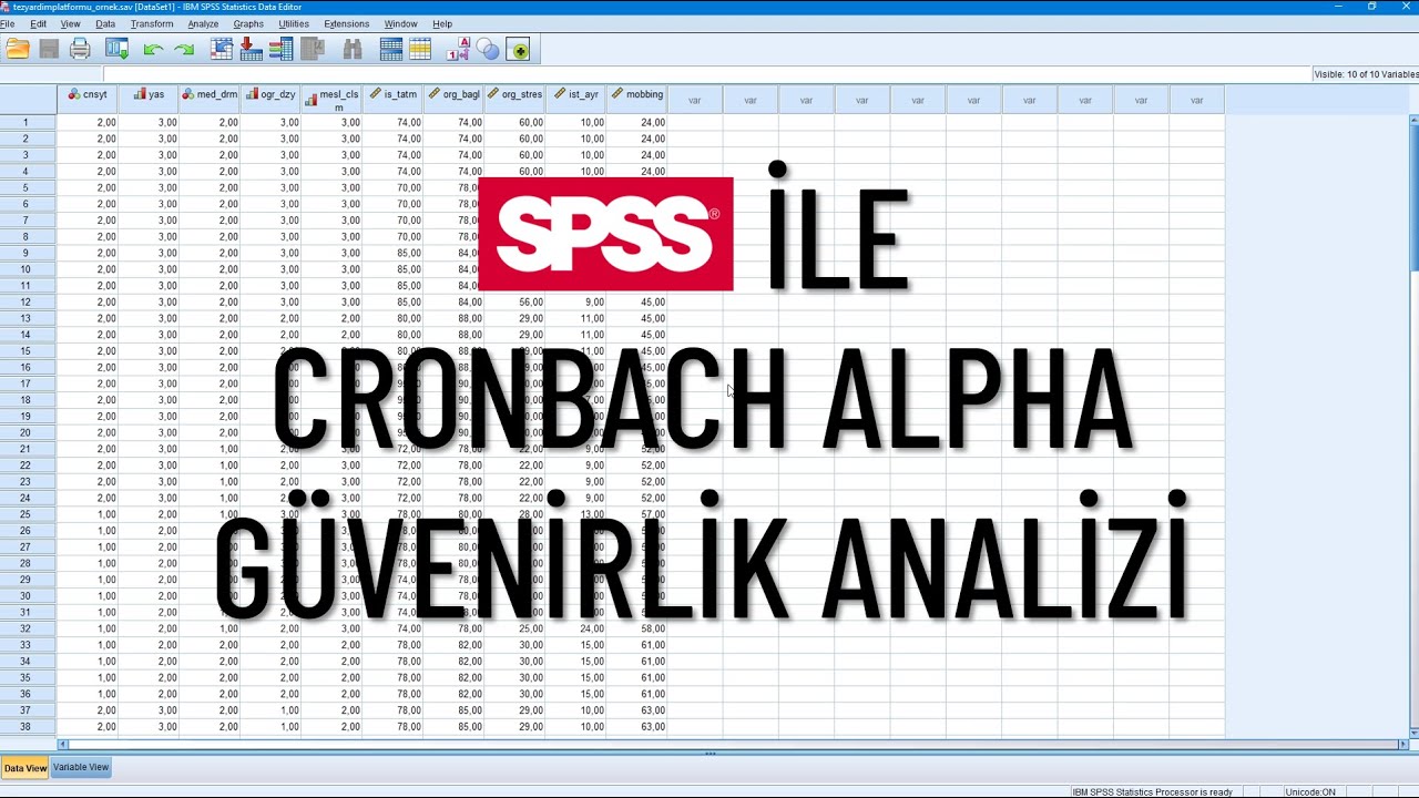 SPSS İle Cronbach Alpha Güvenirlik Analizi | Madde Analizleri, Ters Kodlama ve Raporun Yazımı