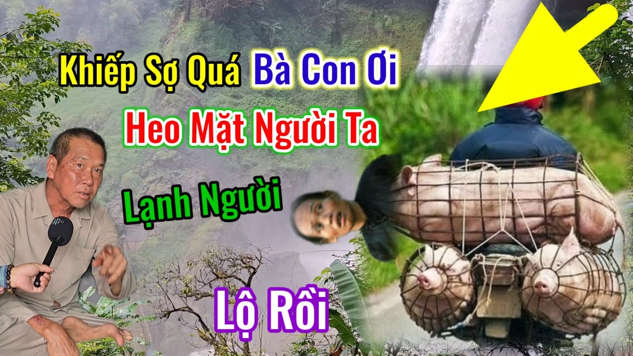 👉Sợ Quá Bà Con Heo Mặt Người Ta Lạnh Người Phải Chăng Sắp Chuyển Kiếp Người Ta | Châu Phú Hảo Hòa