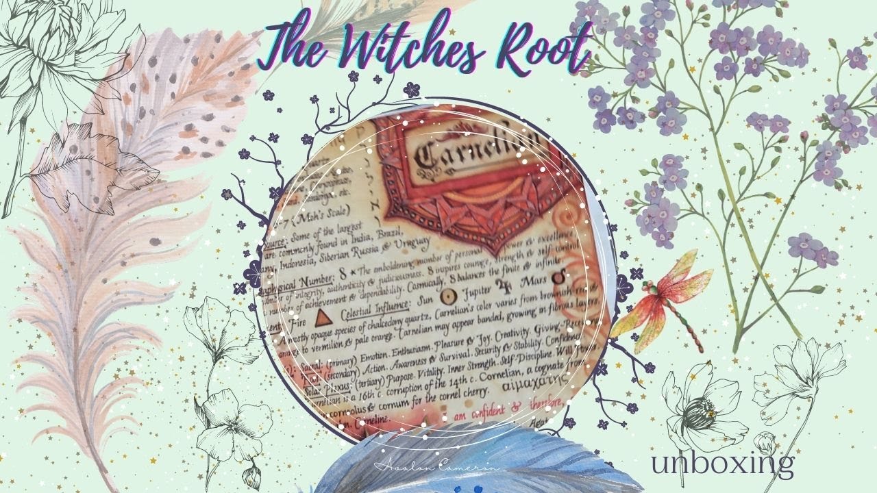 Witches Roots Unboxing