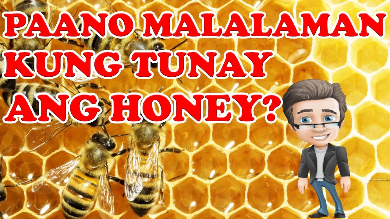 PAANO MALALAMAN KUNG TUNAY ANG HONEY O PULOT?