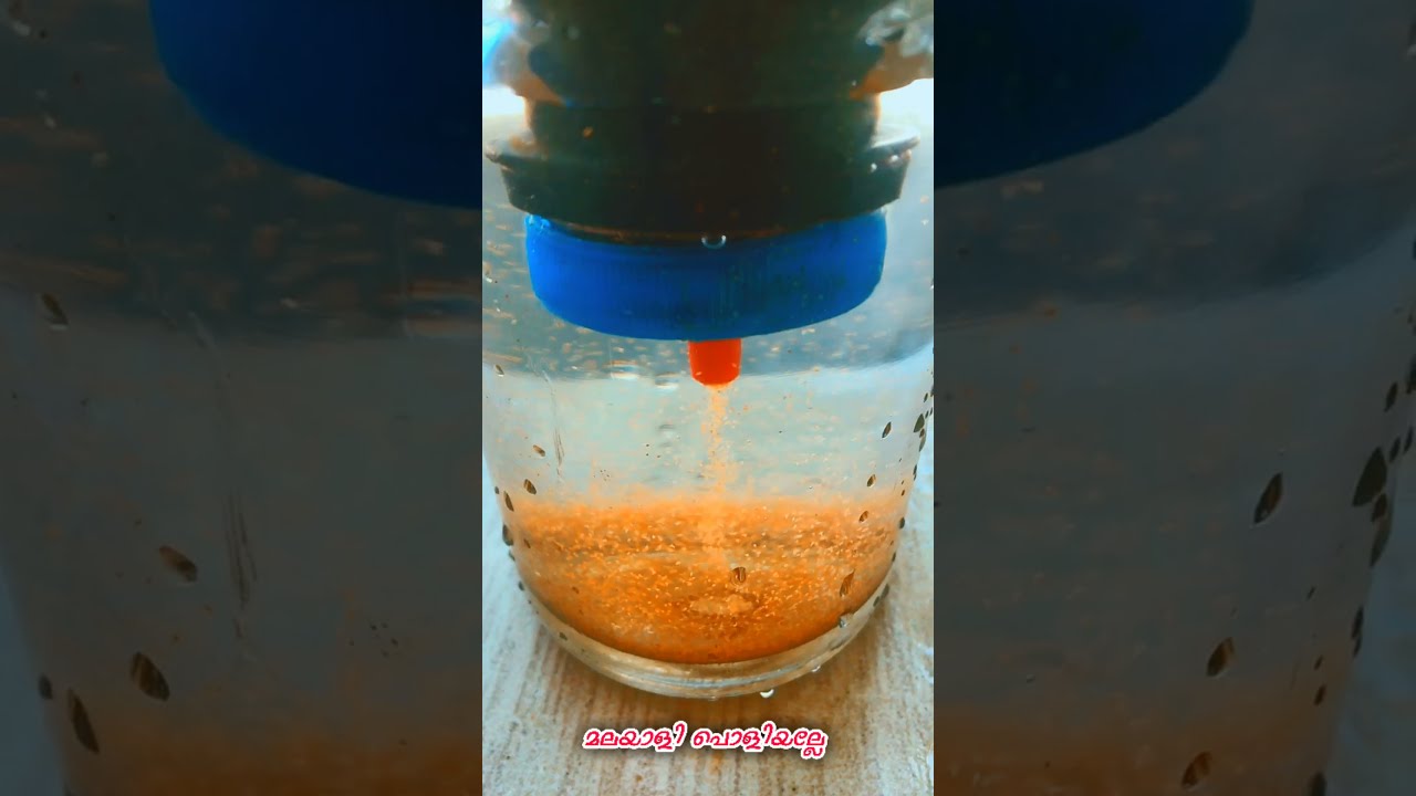 ARTEMIA ഒഴുകുന്നത് കണ്ടാ 🤩 | 