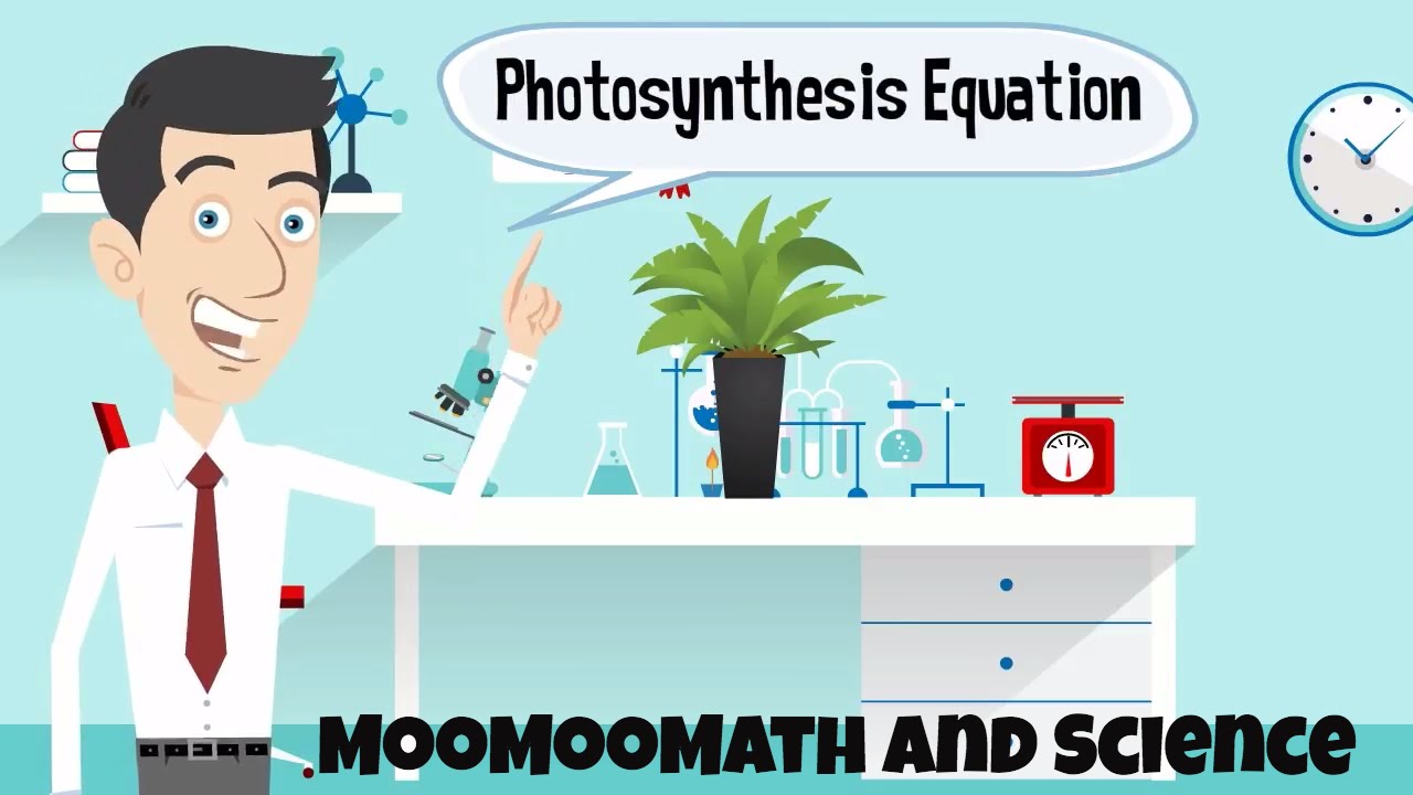 Word equation for photosynthesis