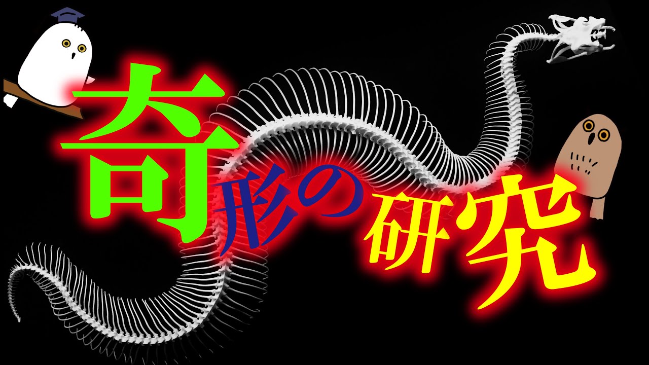 【ゆっくり解説】なぜヘビに肢がないのか？：奇形と大進化【 進化 / 遺伝子 / 科学 】
