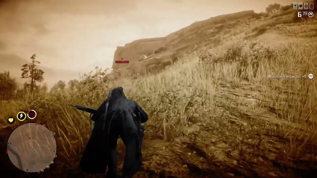Red Dead Redemption 2_20260210011137