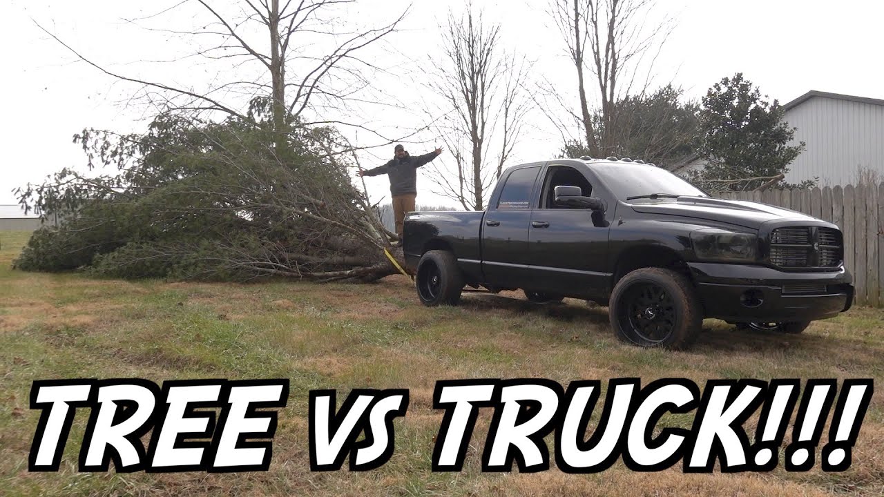 1000HP CUMMINS TRUCK vs MASSIVE TREE!!! 4WD LAUNCH!!!