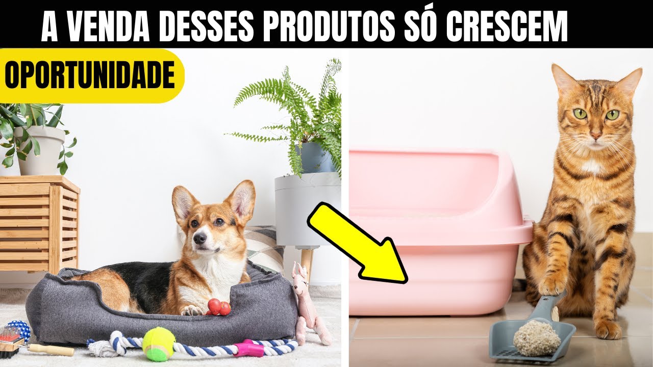14 PRODUTOS PETS MAIS VENDIDOS NO BRASIL