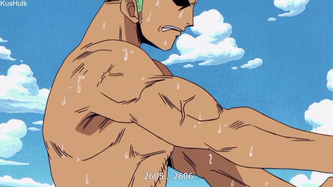 Zoro motivation training montage