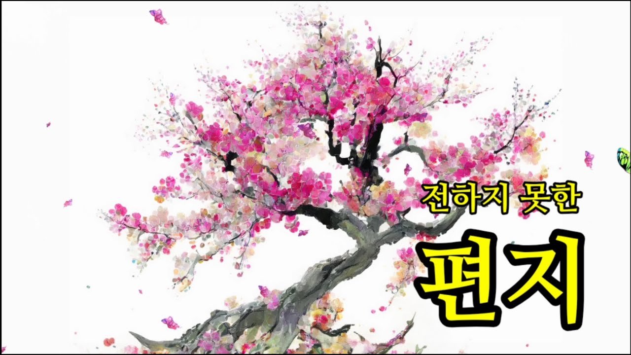 ☘️ 편지 ☘️ #아름다운글 #tea #멋진글귀