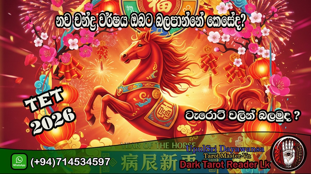 නව චන්ද්‍ර වර්ෂය ඔබට බලපාන්නේ කෙසේද? ටැරොට් වලින් බලමුද ?|Sinhala|#tarotreading #tarot #astrology