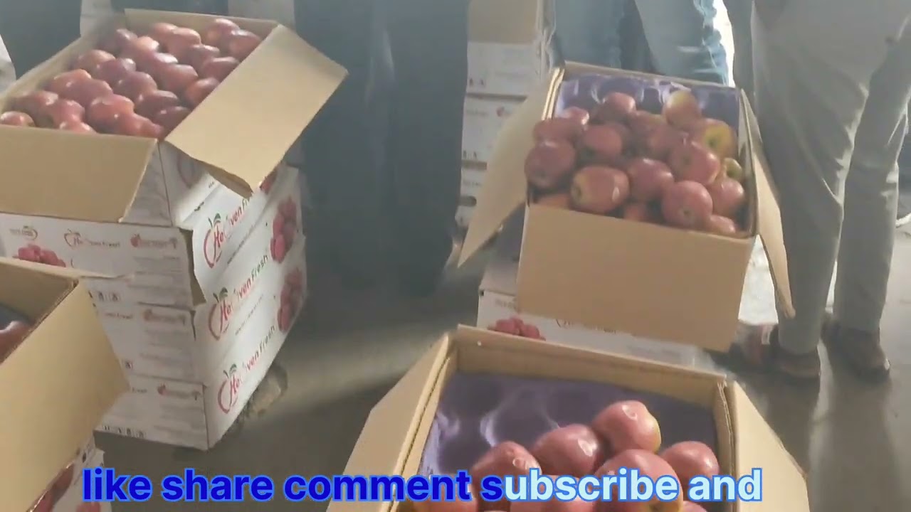 Kanpur to sonipat HR 🚛🥰