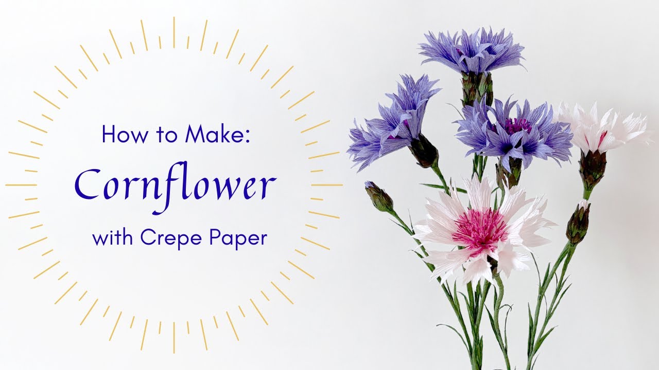 Making Cornflower with Crepe Paper | Sneak Peek