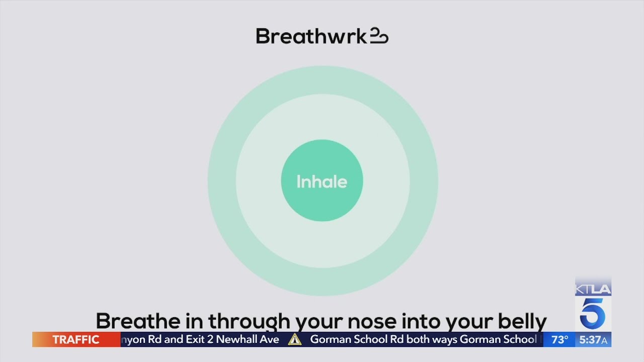 Wellness apps to focus and relax - Rich on Tech