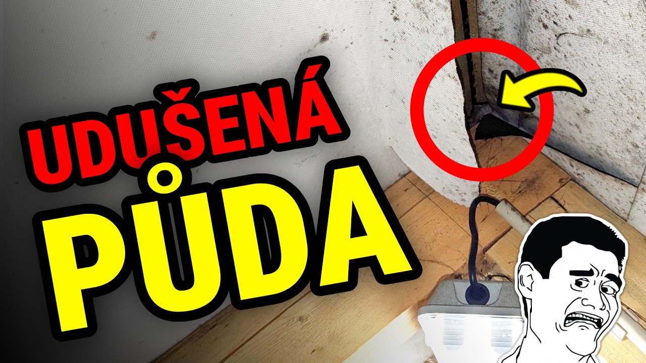 99 % střech má tuto fatální chybu - hnije vám nad hlavou!