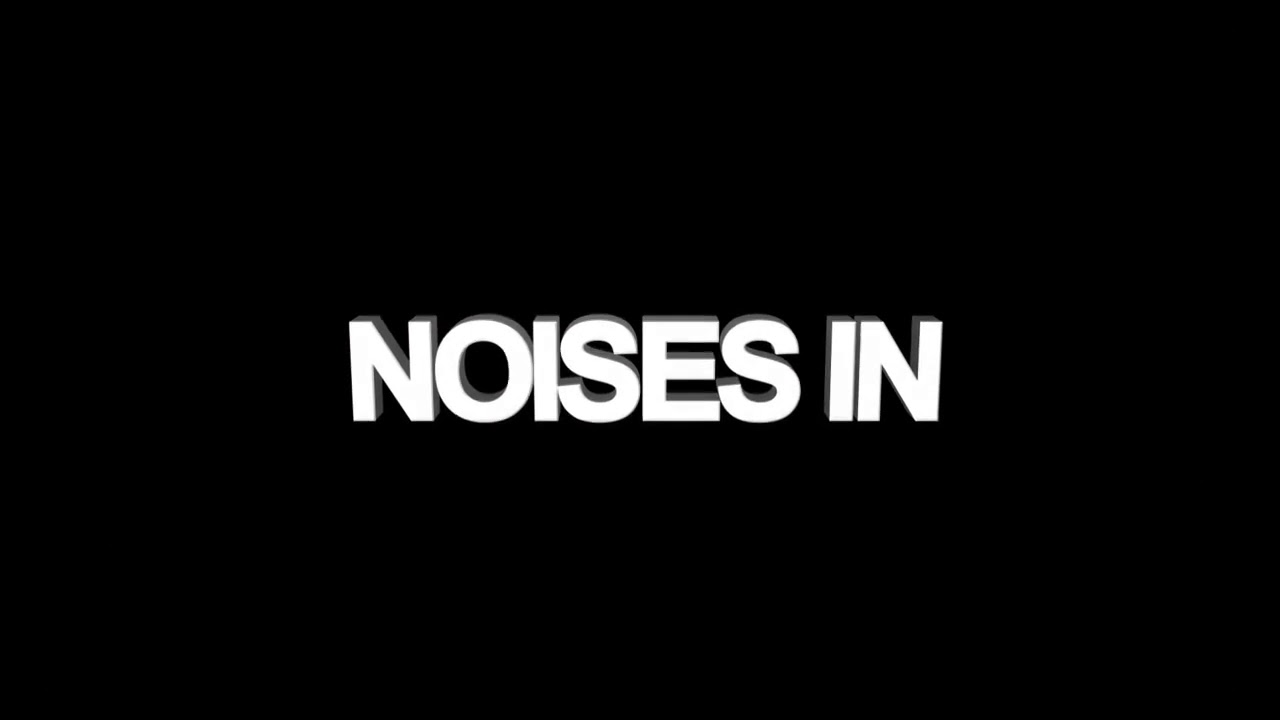 Are You Hearing Noises In Your Attic? Animal Proofing By Attic Kings.