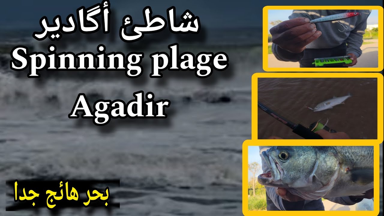 وحش شاطئ أكادير الذي يقطع الخيوط لقد تمكنت منه