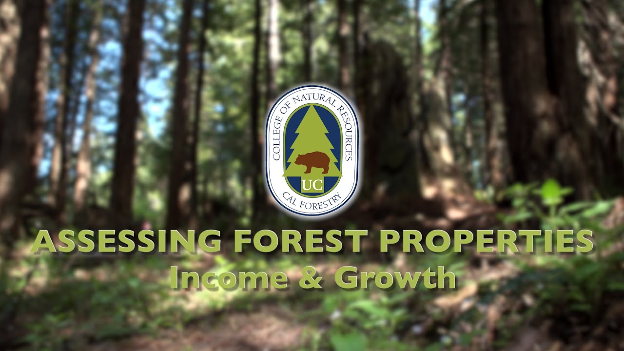 Assessing Forest Properties - Income and Growth