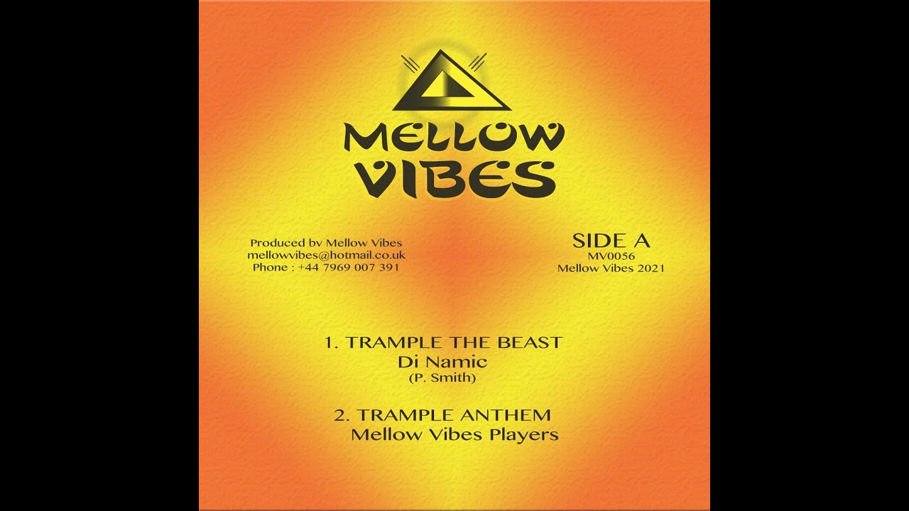 TRAMPLE THE BEAST - DI NAMIC / THERE'S A FIRE - MURRAY MAN