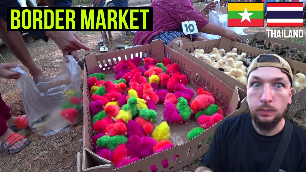 Found A Super Local Market Near The THAILAND MYANMAR BORDER 🇹🇭