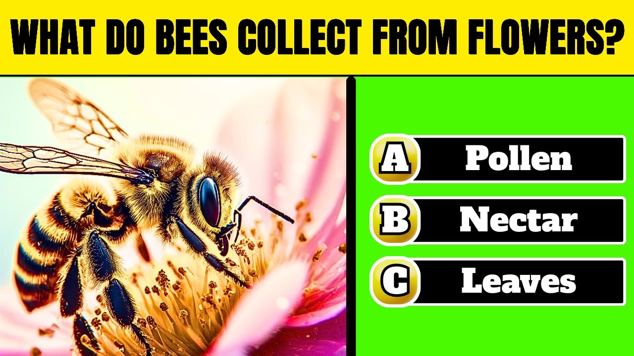 General Knowledge Ultimate Brain Test 🧠🏆 | Almost Everyone Misses One | Prove Your Skills