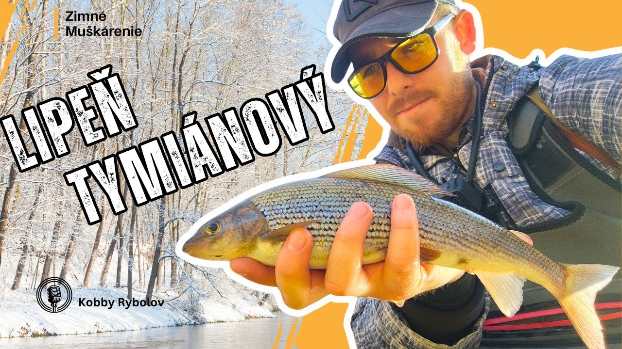 🎣Takto isto ulovíš Lipňa aj ty! 🎣 Muškárenie  na Slovensku