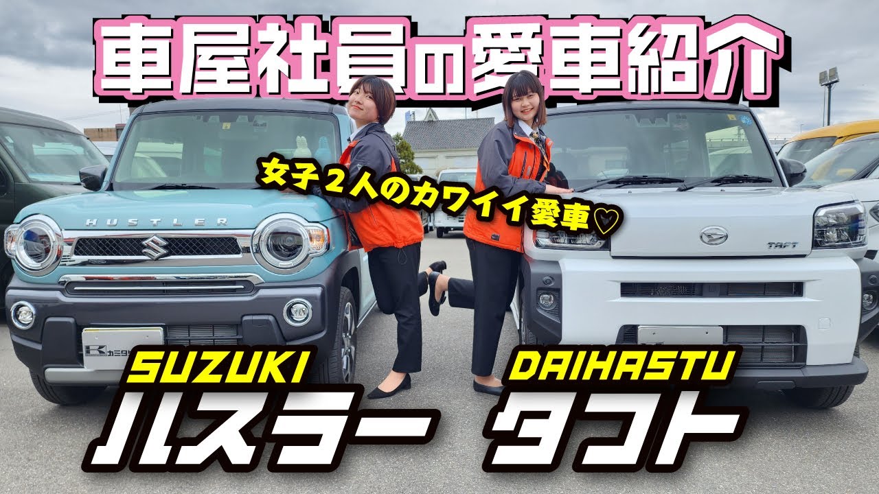 【タフト&ハスラーが愛車】車屋女子が大人気軽自動車をリアルレビュー！内外装の良い点・悪い点は？【suzuki hustler】【daihatsu taft】
