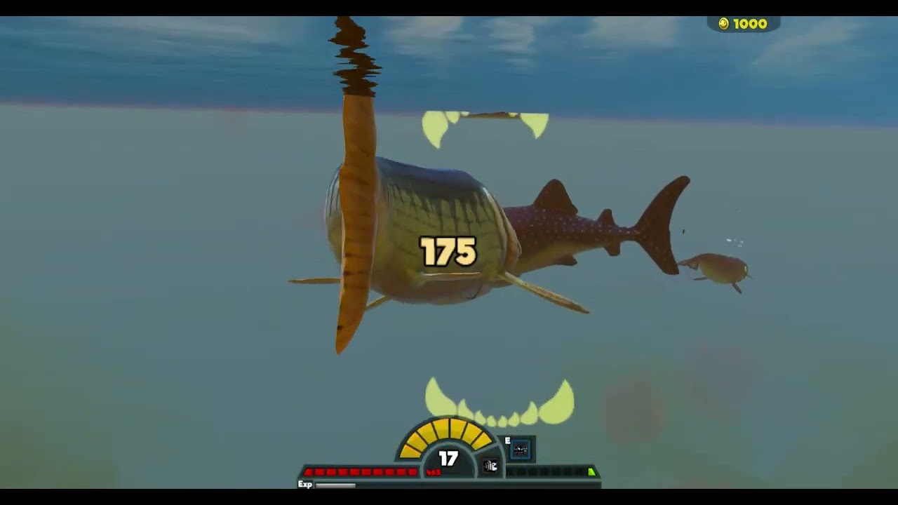 🦈 First Time as Xiphactinus! Shark Fights, Megalodon & Sperm Whale Boss Battles | Fish: Feed & Grow