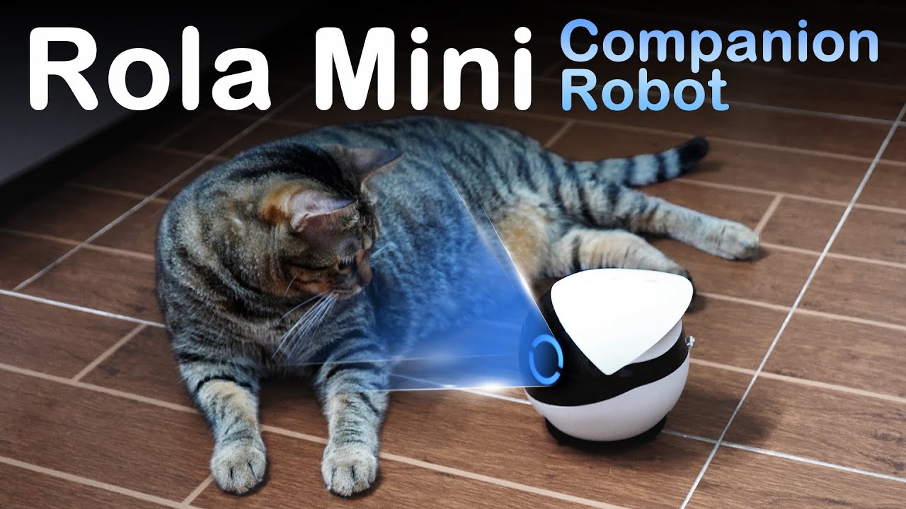 Встречайте Enabot Rola Mini: лучшего помощника для питомца и дома!