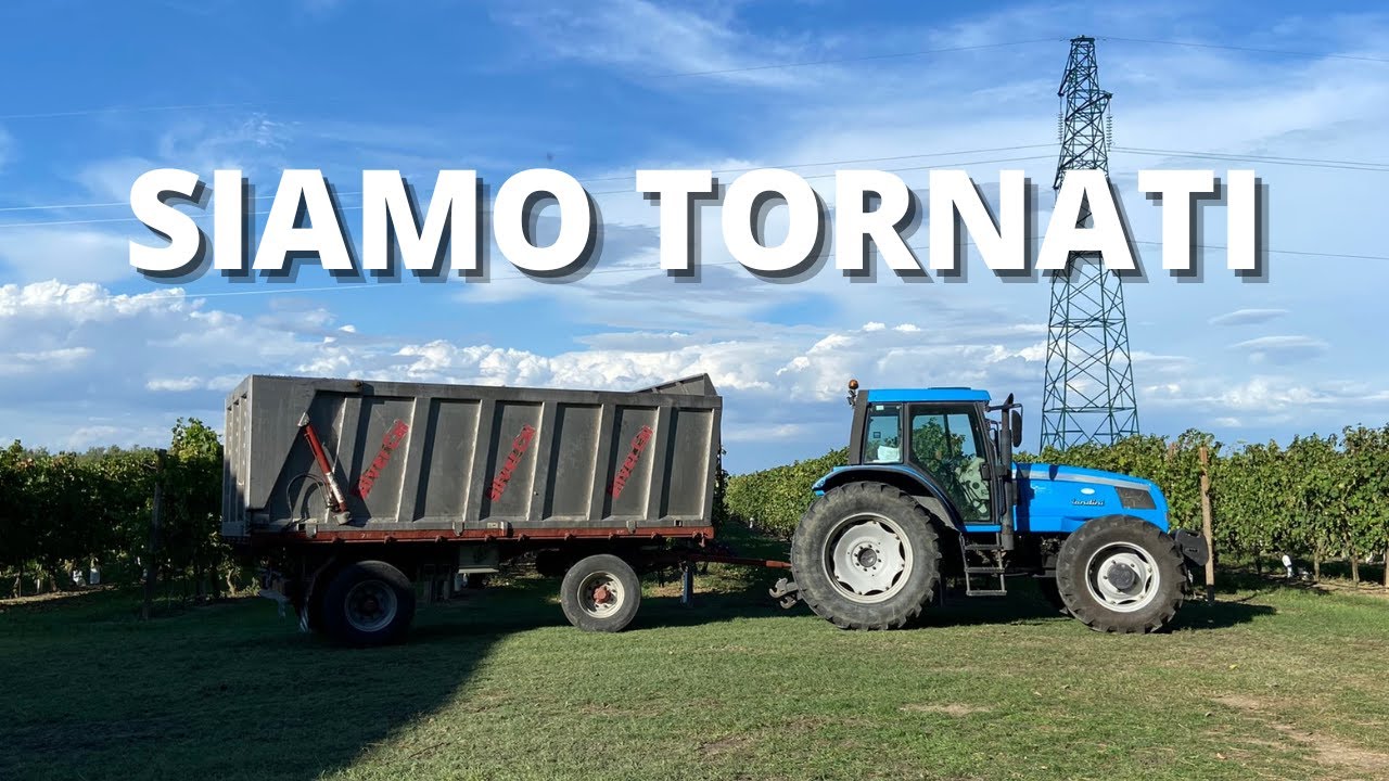 ci PREPARIAMO per la VENDEMMIA🍇