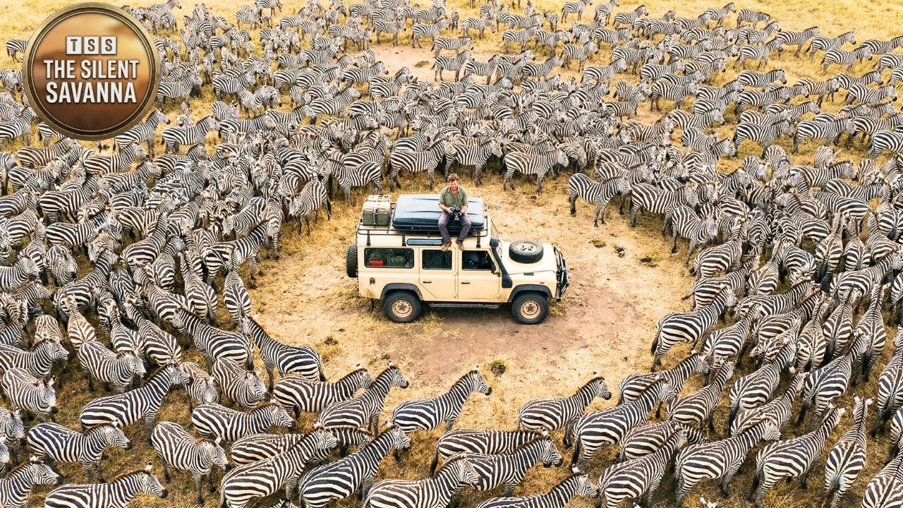 Solo Safari Ep.02 | Waiting For The Storm - Drought Ends | The Silent Savanna