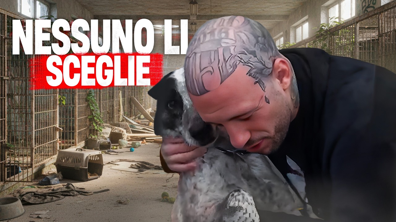 MAI SCELTI DA NESSUNO: I CANI INVISIBILI DEL CANILE