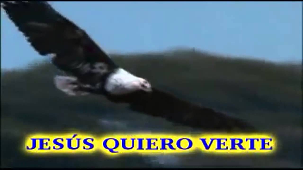 abre mis ojos pista adventista