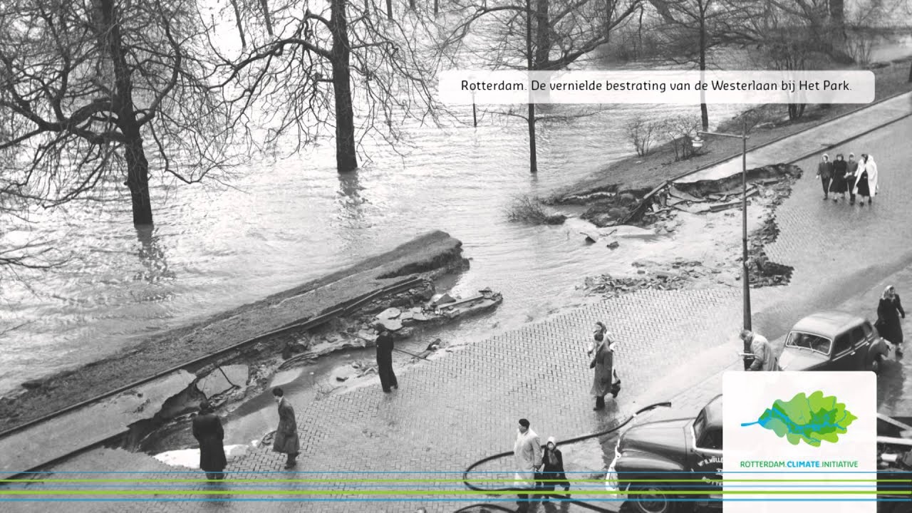 Rotterdam en de Watersnoodramp van 1953