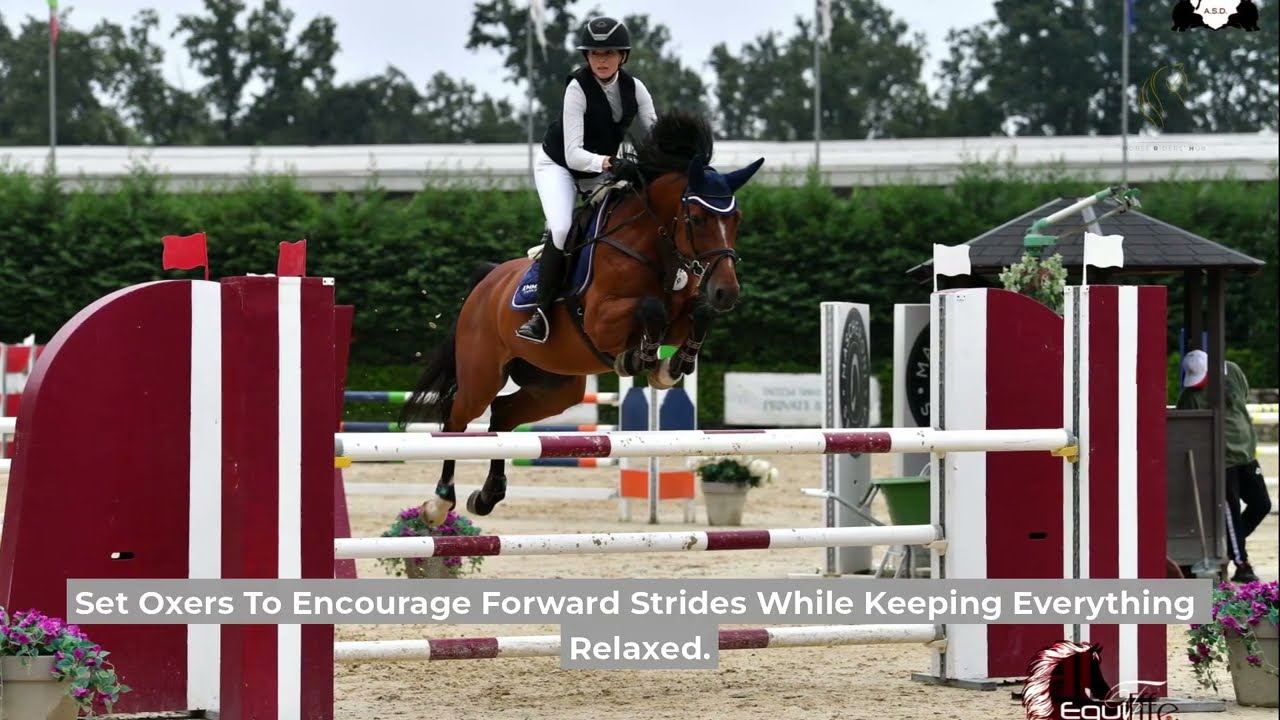 When to Add or Leave Out a Stride in Showjumping (Real Fixes & Examples)