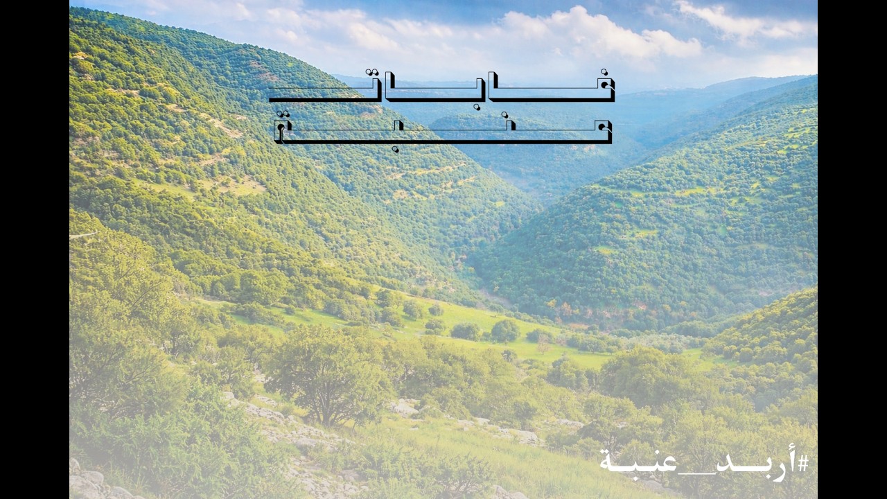 غابات عنبة عراق ابو الطبل
